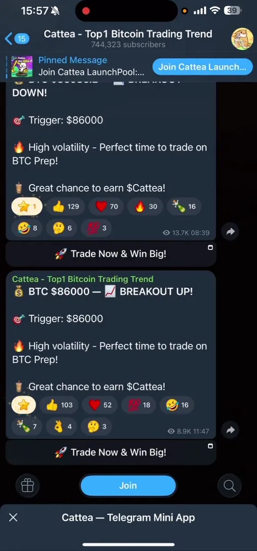 Cattea project's official Telegram channel with 744k subscribers
