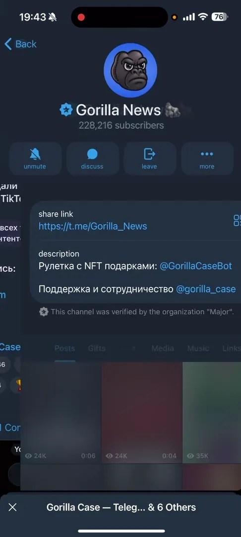 Gorilla News project's official Telegram channel
