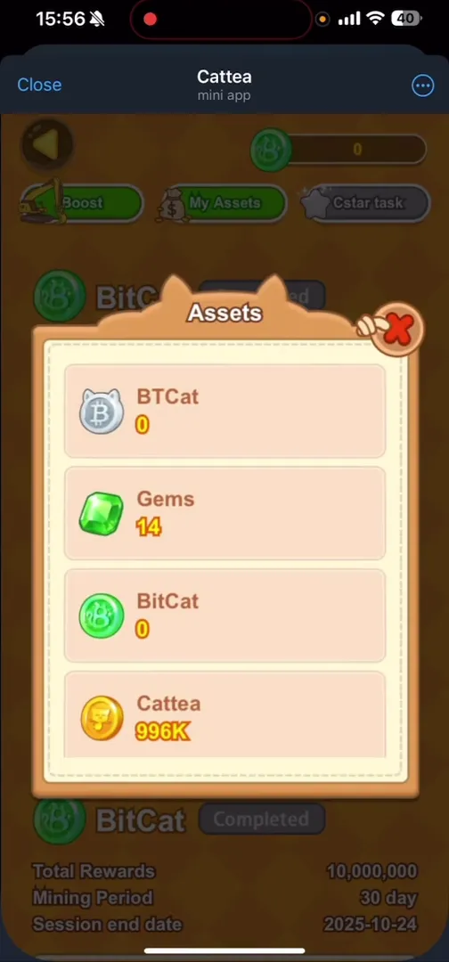 User assets and balance section in Cattea