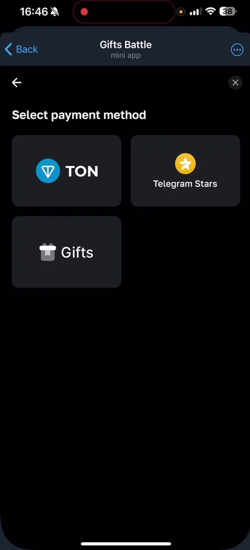 Payment method selection: TON, Telegram Stars, or Gifts